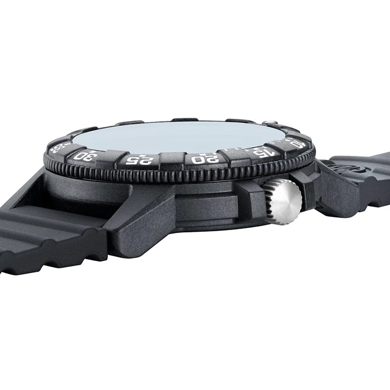 Leatherback Sea Turtle Giant Blue XS.0324